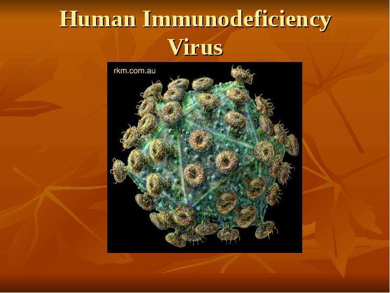 Human immunodeficiency. Immunodeficiency.