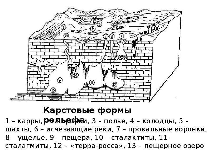 Процесс образования карстовых пещер. Строение карстовой воронки. Карстовые процессы. Карстовые формы. Карстовые колодцы Геология.