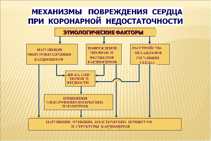 Коронарная недостаточность презентация