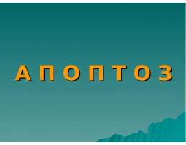 Апоптоз