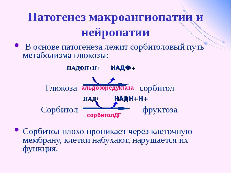 Образование глюкозы энергетический обмен