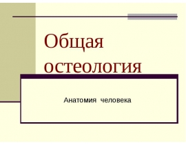 Общая остеология Анатомия человека