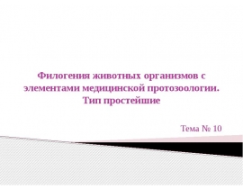 Филогения животных организмов с элементами медицинской протозоологии. Тип простейшие