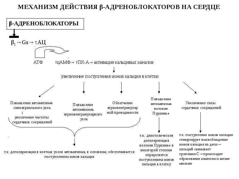 Адреноблокаторы фармакология презентация