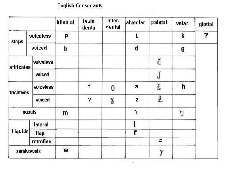 Voiceless игра. English consonant phonemes таблица. Classification of English consonants таблица. Классификация английских согласных звуков. English Vowel phonemes таблица.