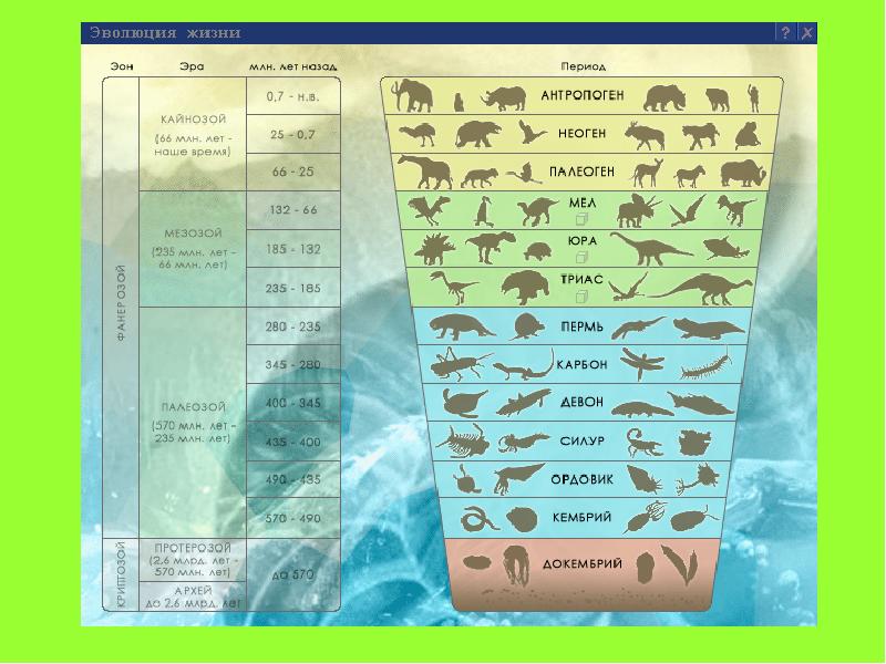Эволюция жизни. Периодизация кайнозойской эры. Энциклопедия эры. Панорама Эволюция жизни.