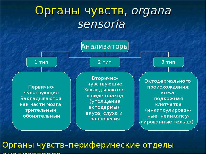 Орган характеристики