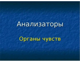 Орган слуха и равновесия