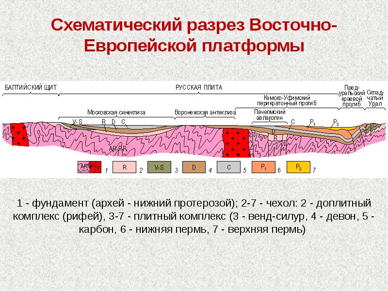 Этапы формирования платформ. Осадочный чехол Восточно-европейской платформы. Геологическое строение Восточно европейской платформы. Тектонический разрез Восточно-европейской платформы.