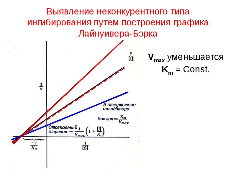 Неконкурентное ингибирование схема