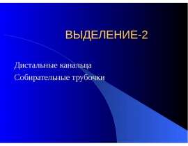 Дистальные канальца Собирательные трубочки
