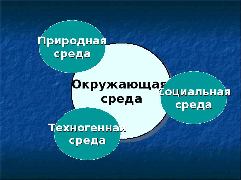 Физические характеристики окружающей среды. Физические свойства и характеристики окружающей среды. Окружающая среда и ее гигиеническое значение. Гигиеническое значение метеорологических факторов окружающей среды. Физические свойства атмосферы.