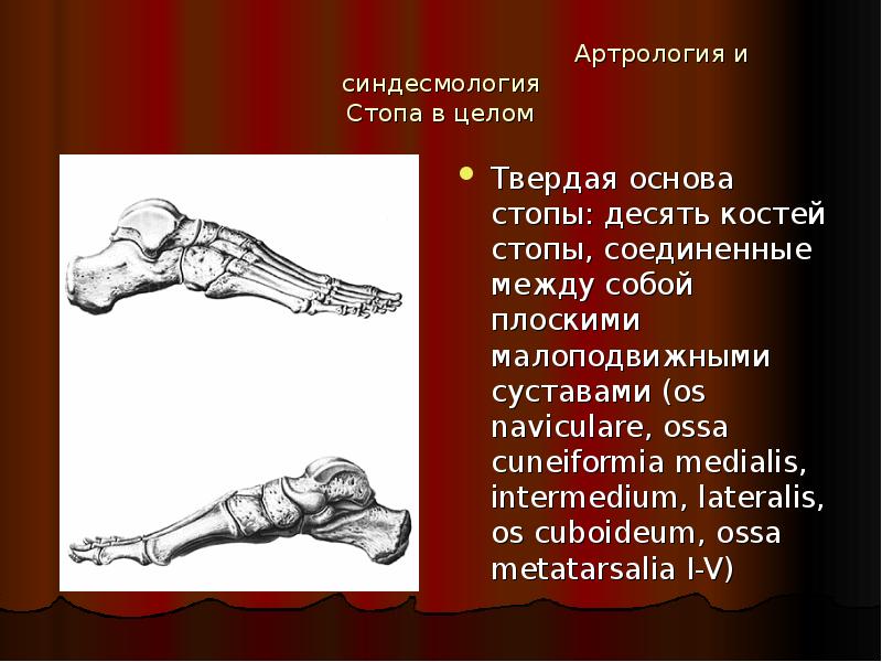 Твердая основа