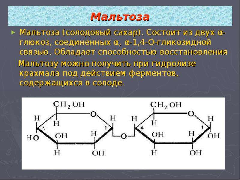 Мальтоза. Гликозидная связь в мальтозе. Α-1,4-гликозидные связи в крахмале. Мальтоза до Глюкозы.