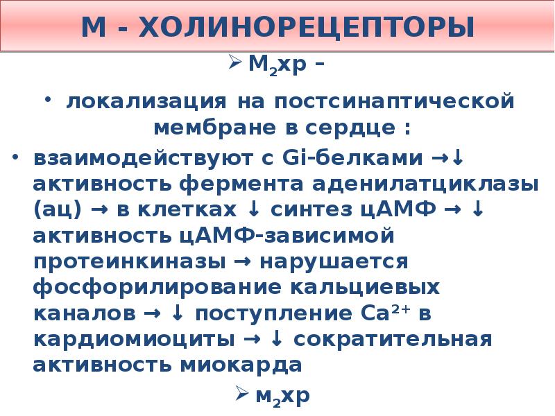 М холинорецепторы