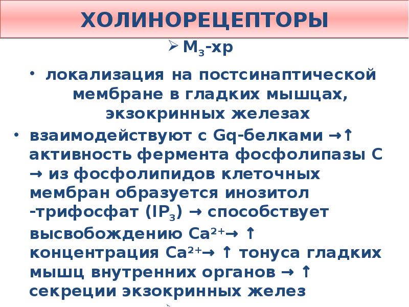 М холинорецепторы