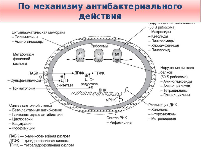 Противоинфекционные средства проект