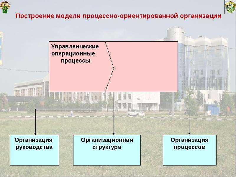 Процессно ориентированная. Процессно-ориентированная организация. Преимущества процессно-ориентированной организации.