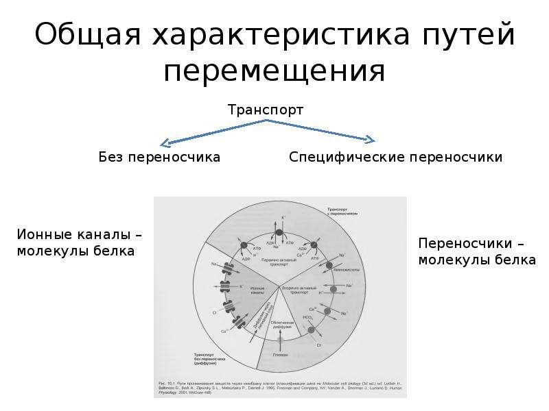 Характеристика пути