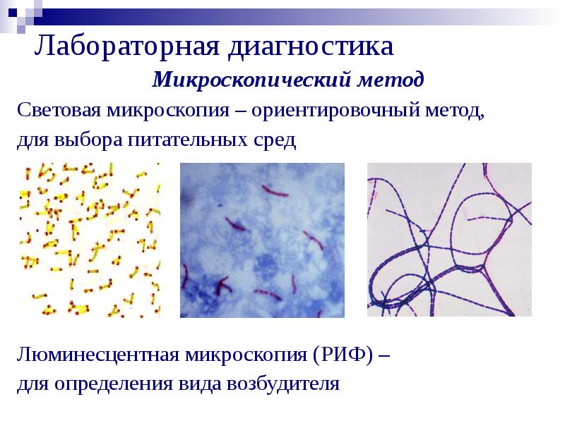 Микроскопия алгоритм