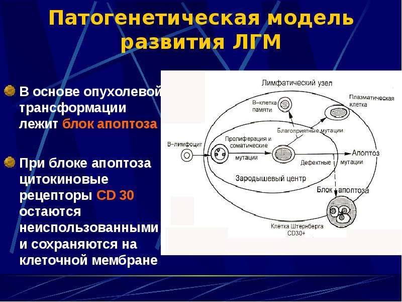 Жизнь после лимфомы последствия