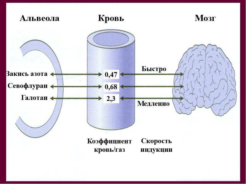 Задача требует инициализации соединения sql план обслуживания