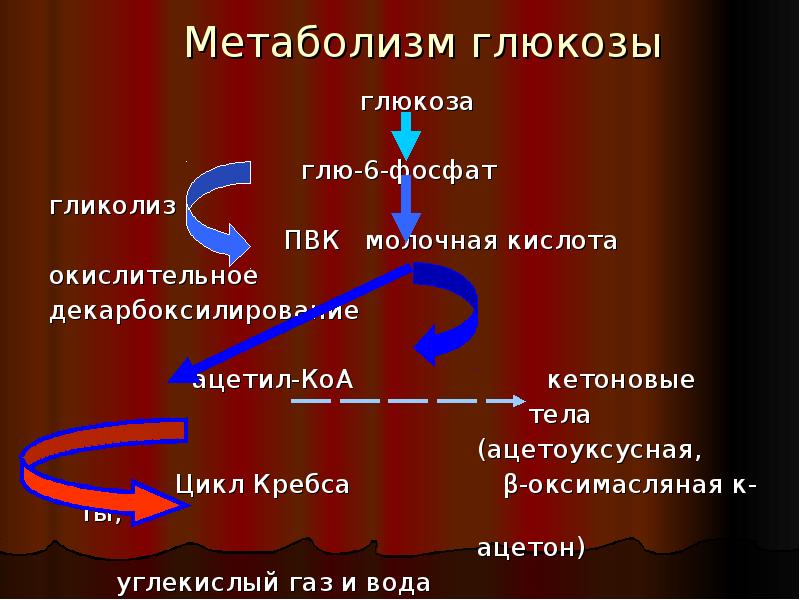 Энергетический обмен глюкозы. Глю 6 фосфат. Гликолиз ПВК молочная кислота. Метаболизм ПВК.