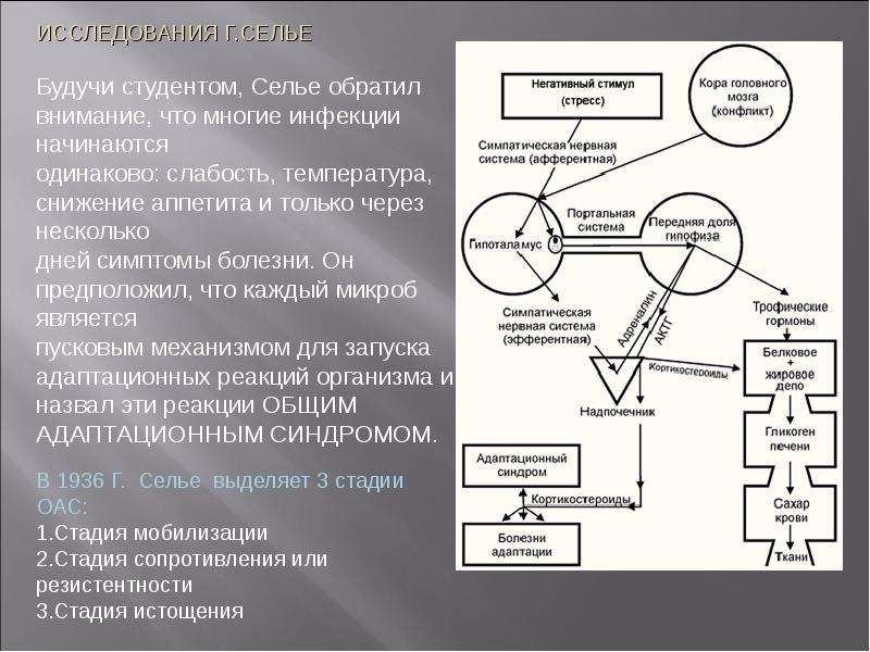 Теория стресса. Ганс Селье концепция стресса. Стресс-реакция по г Селье. Классическая теория стресса Селье. Схема Ганса Селье.