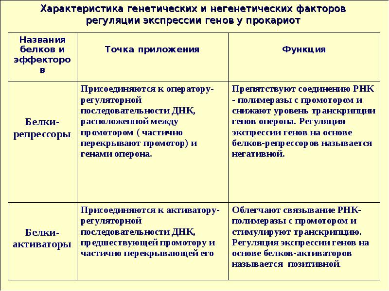 Влияет на экспрессию генов. Механизмы регуляции экспрессии генов у эукариот. Регуляциляция экспрессии генов. Регуляция экспрессии Гена. Регуляция экспери генов.