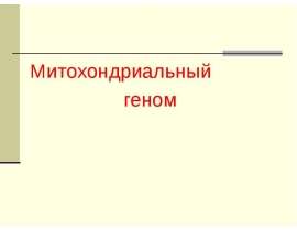 Геном митохондрий