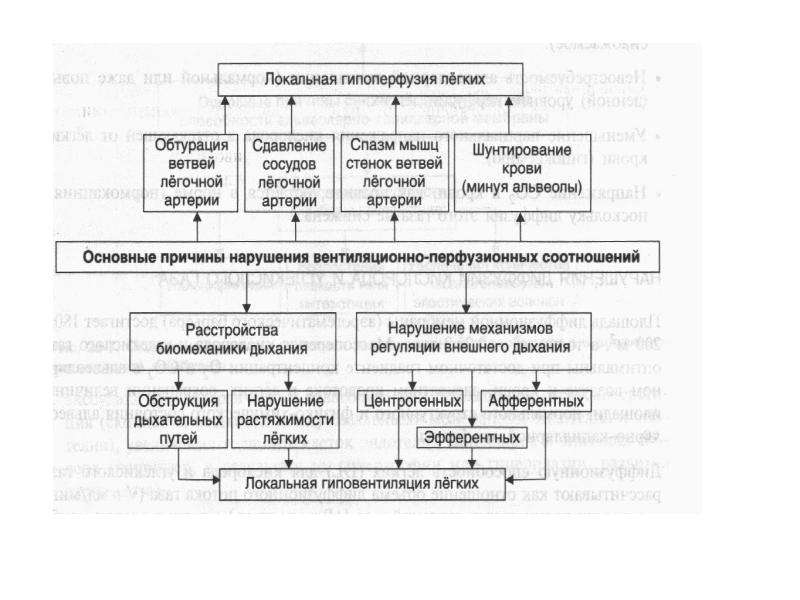 Патофизиология внешнего дыхания презентация