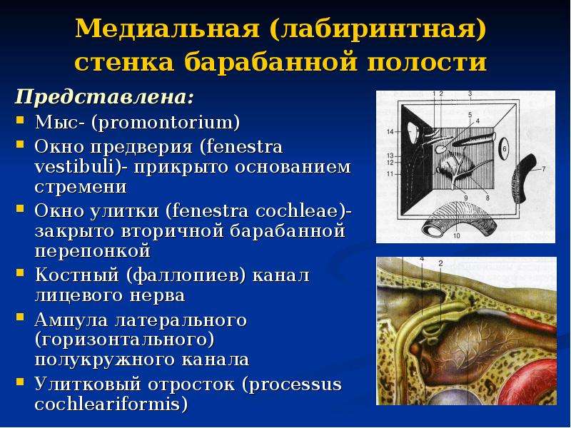 Схема барабанной полости