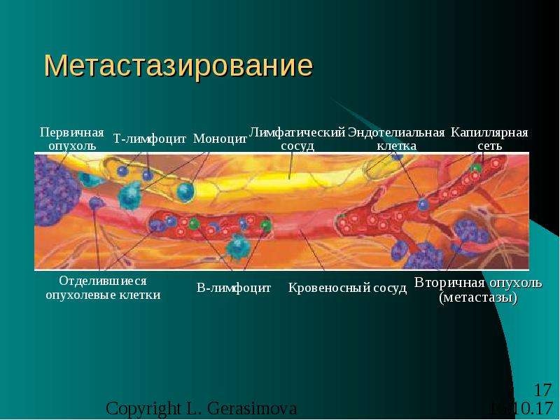 Патофизиология опухолевого роста презентация