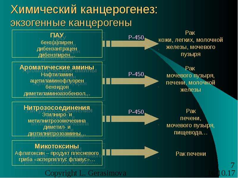 Патофизиология опухолевого роста презентация