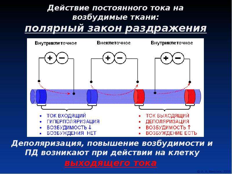 Постоянное действие