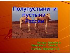 Полупустыни и пустыни России