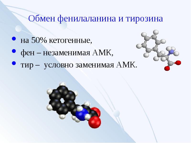 Обмен фенилаланина