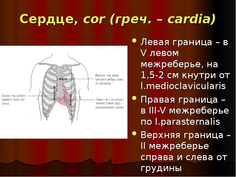 Второе межреберье справа