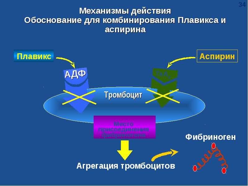 Обоснование действия