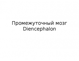 Промежуточный мозг Diencephalon