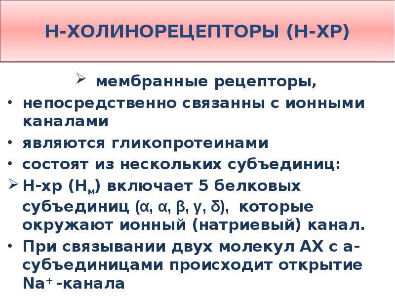 Н холинорецепторы