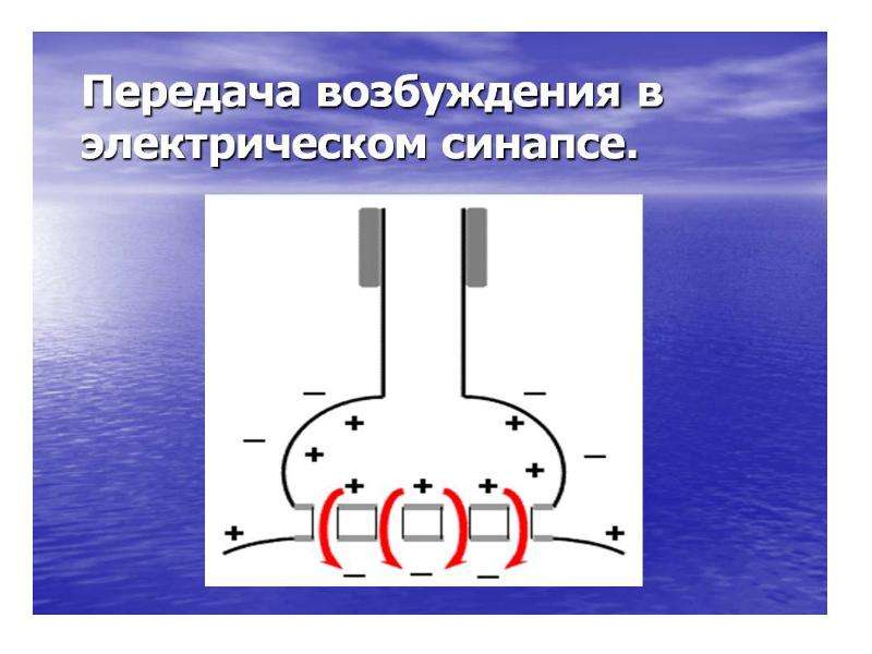 Схему развития внутреннего торможения в результате неподкрепления и отставания подкрепления