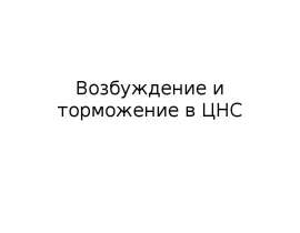 Возбуждение и торможение в ЦНС