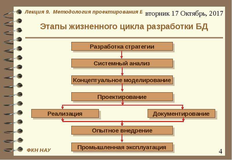 Презентация жизненный цикл базы данных