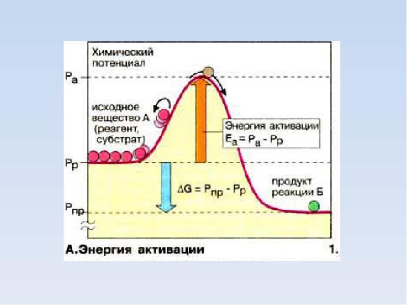 Энергия активации реакции