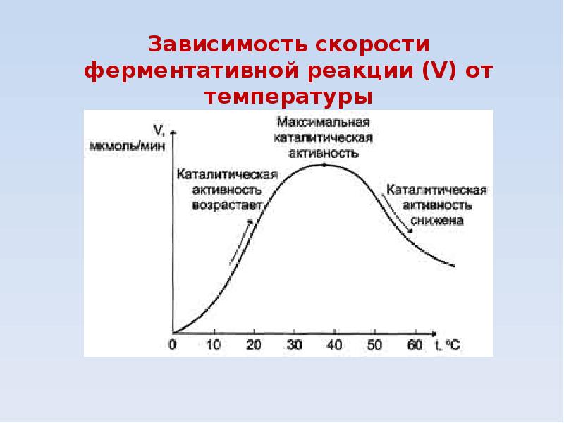 Зависимость скорости от температуры