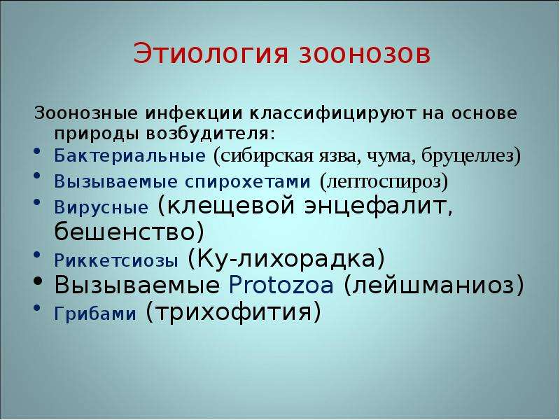 Инфекционные болезни зоонозы