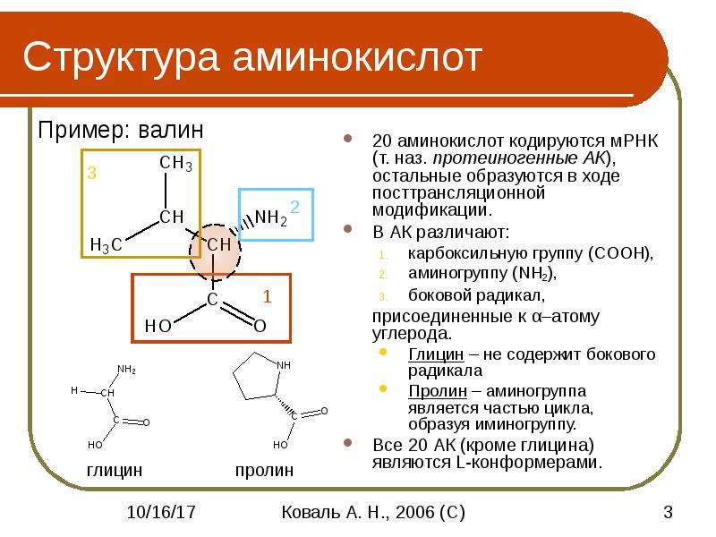 Строение и свойства аминокислот. Протеиногенные аминокислоты структура. Физико-химические свойства аминокислот. Структурные свойства аминокислот.
