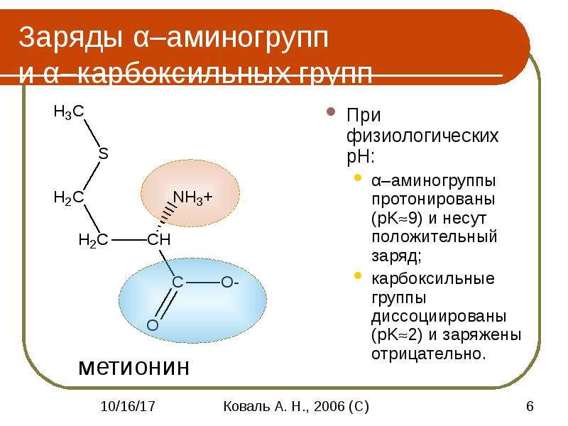 Физические свойства аминокислот презентация