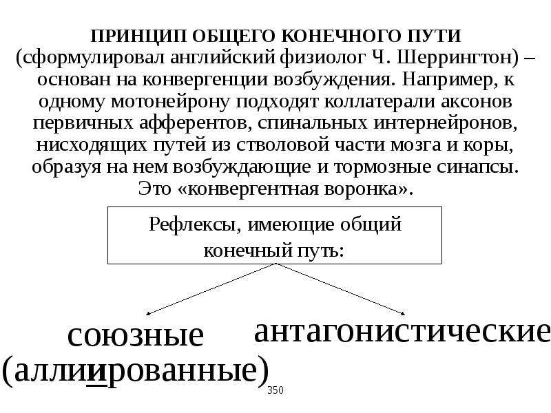 В общем в конечном. Принцип общего конечного пути (Шеррингтон). Общий конечный путь в физиологии. Принцип конечного пути физиология. Общий конечный путь (ч. Шеррингтон, 1906 г.);.